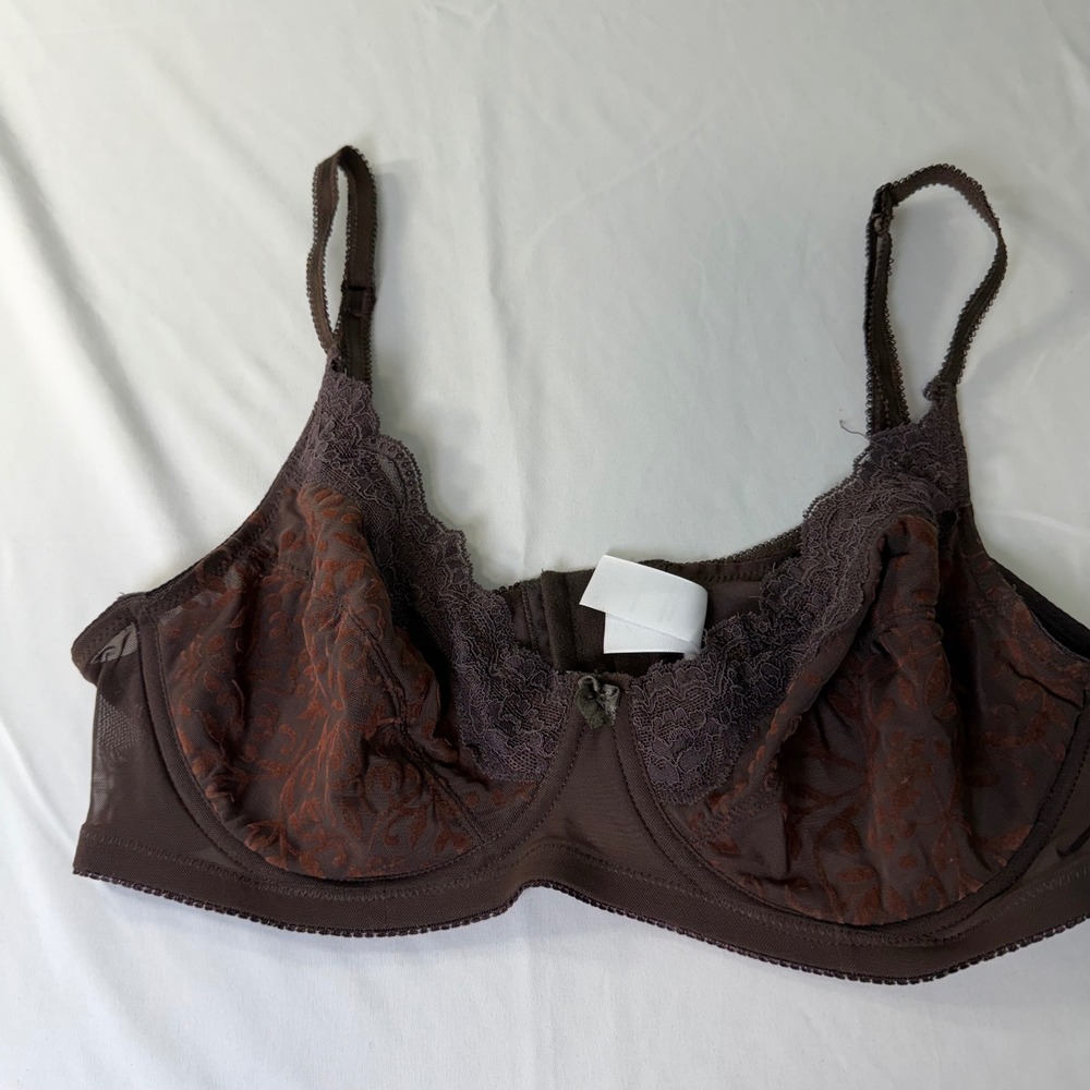 Carnival Womens Brown Lace Mesh‎ Underwire Bra Style R137X 40C